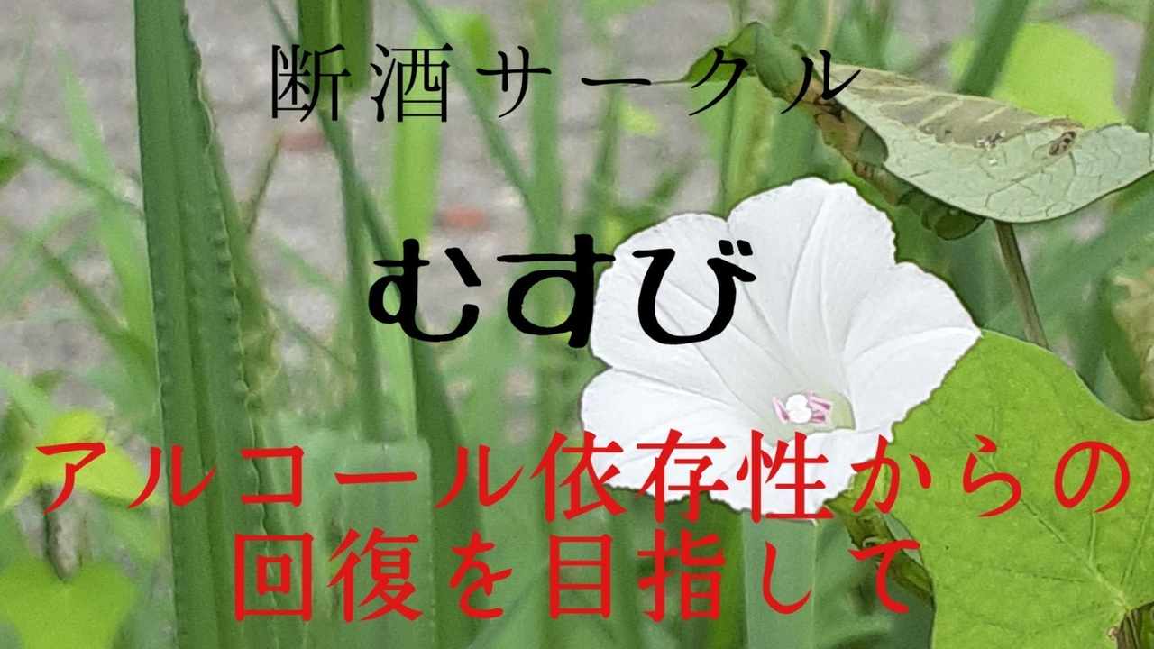 アルコール依存性~完全 Close~