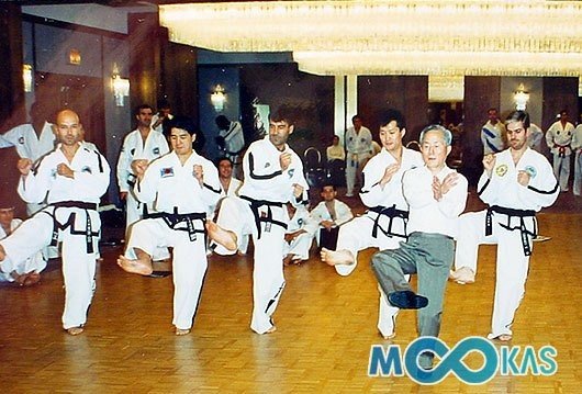韓国から見た テコンドーの創始者 崔泓熙総裁 Mr Whitebelt Note 韓国から見た テコンドーの創始者 崔泓熙総裁 Mr Whitebelt Note