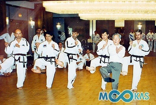 チェ・ホンヒ著 Taekwon-do 第五版 1999年 激レア-eastgate.mk