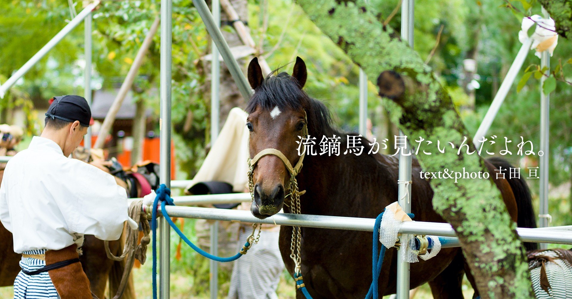 古田 亘 流鏑馬が見たいんだよね 第10回 天長地久 写真集 Yabusame 編集部 Note 古田 亘 流鏑馬が見たいんだよね 第10回 天長地久 写真集 Yabusame 編集部 Note