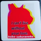 kobe_sakuraneko