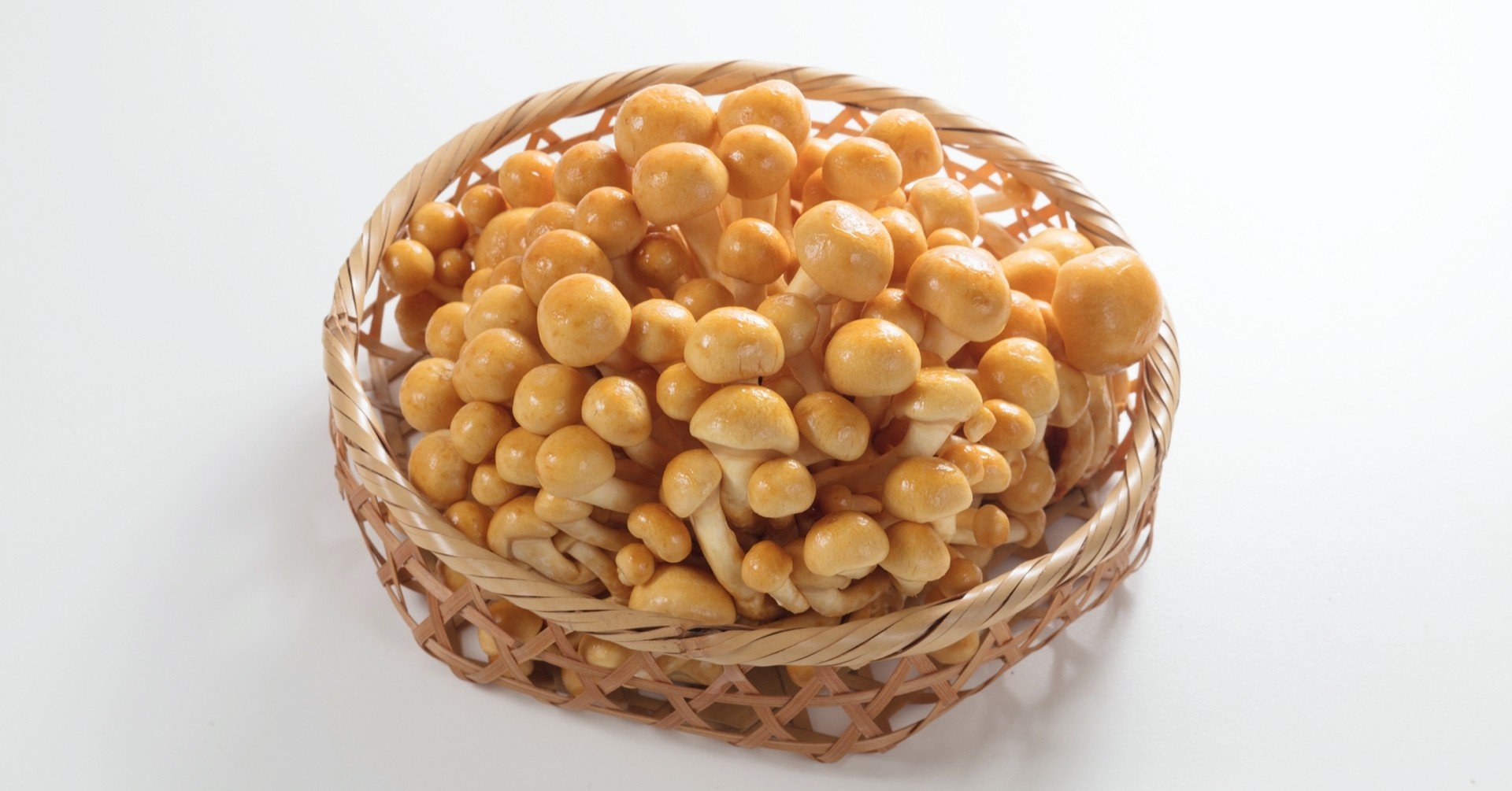 世界初の栽培実験「福島なめこ」｜ふくしまミラツクProject