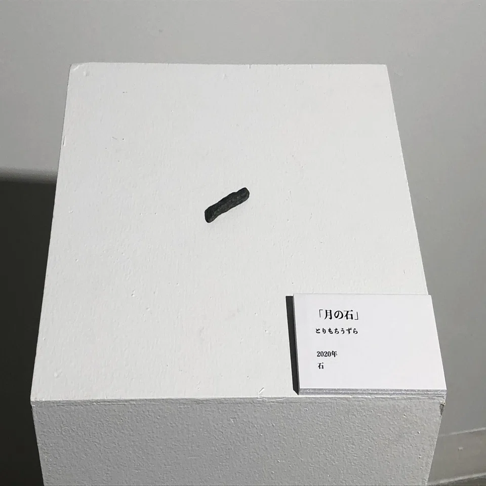 石を展示すると価値が生まれる｜とりもちうずら