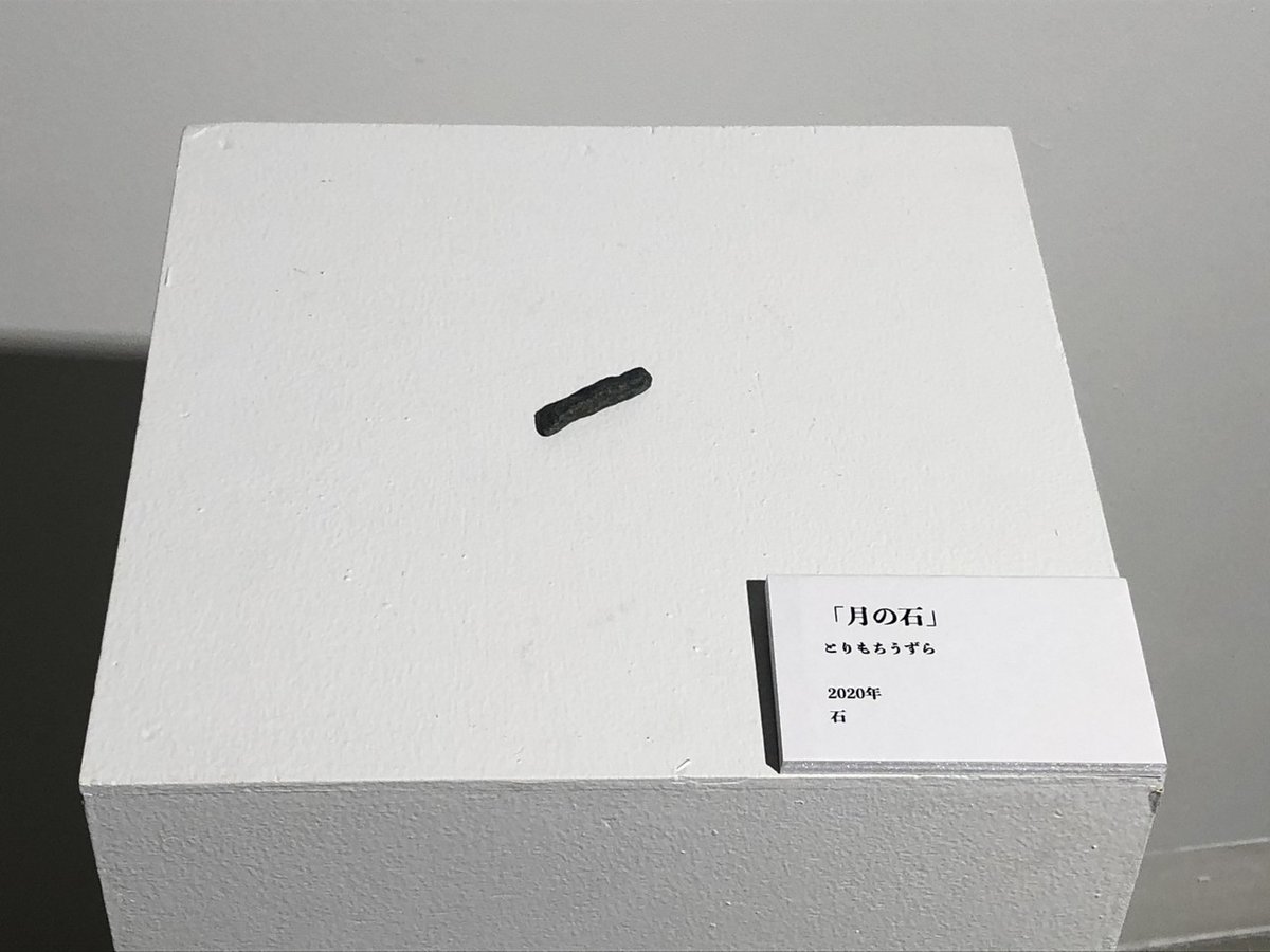 自ら作った石です 石を展示すると価値が生まれる｜とりもちうずら