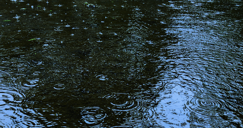 【短編】雨垂れ