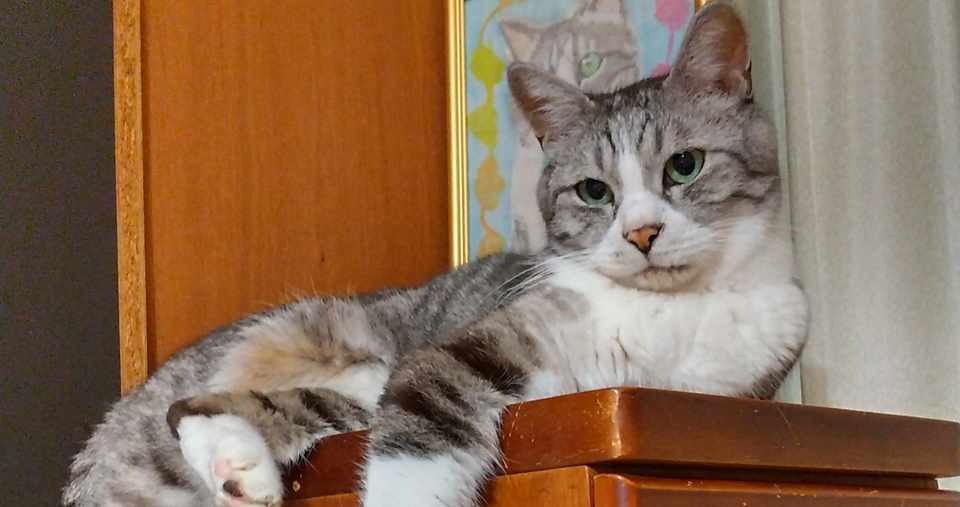 9 15 授乳中の幸せ 幸福感 アイス Note