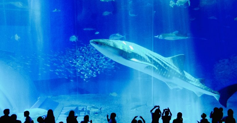 半年で語学をモノにしたい人に有力な情報をゲットした 英語で世界にモノ申したい ３２歳 を応援するコーチ Note