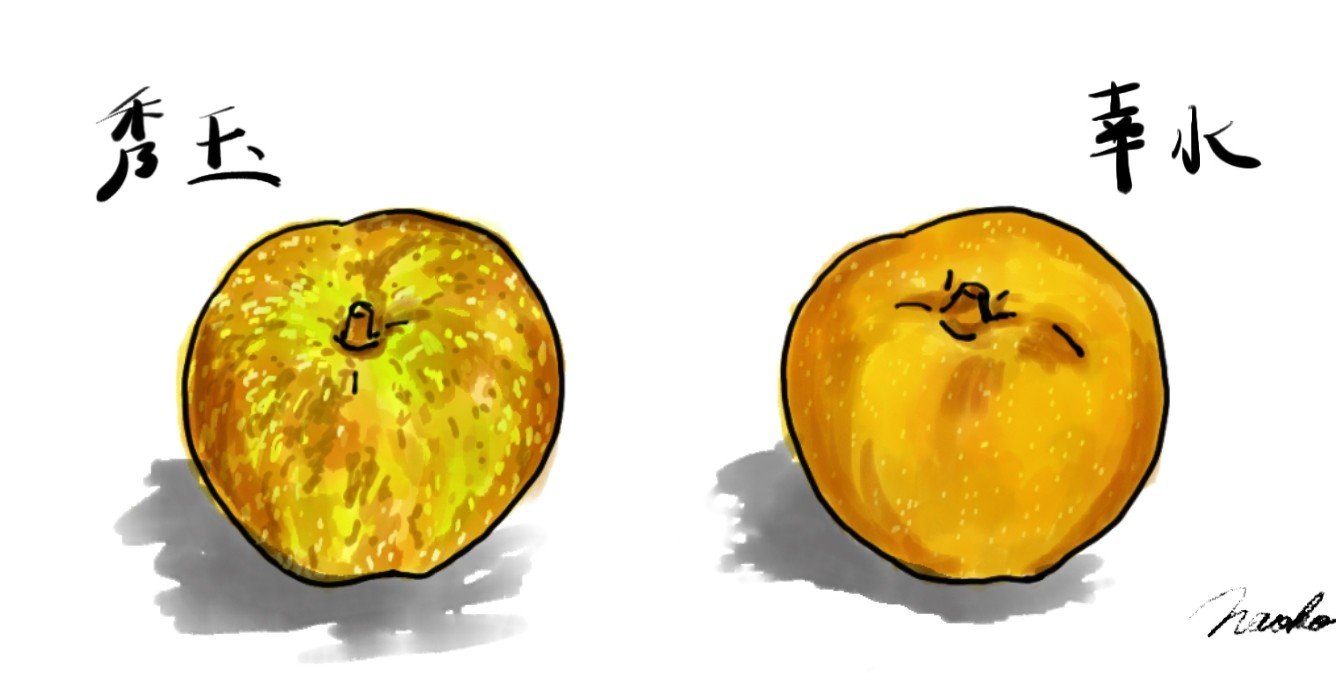 出版物の総額表示義務化と紙媒体の衰退で引き起こされること 角田奈穂子 Fillmore East Note