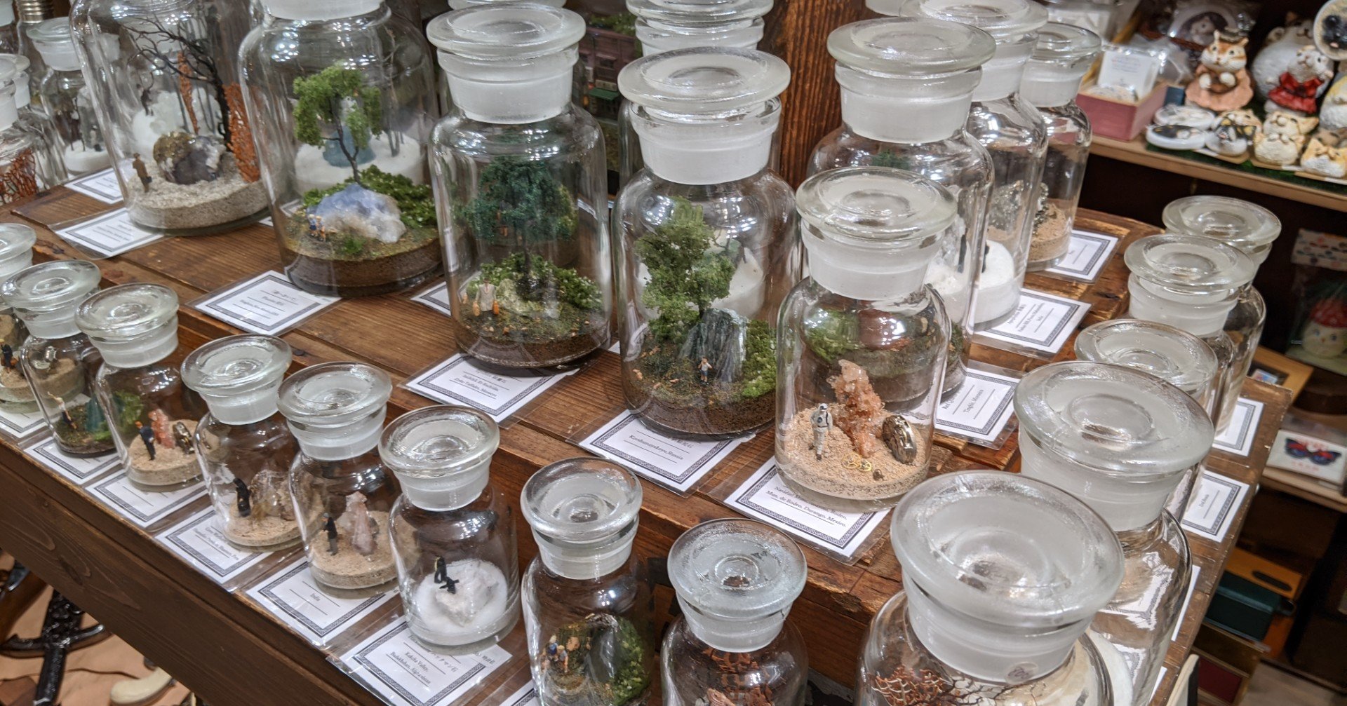 生活の中で石を飾る愉しみ 時計荘 Note