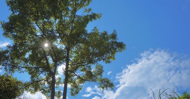 自己中心的な人は不幸になる 竜崎大輝 note