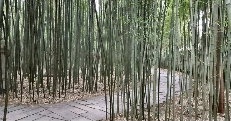 武田惣角の柔術講習 Juzen Note
