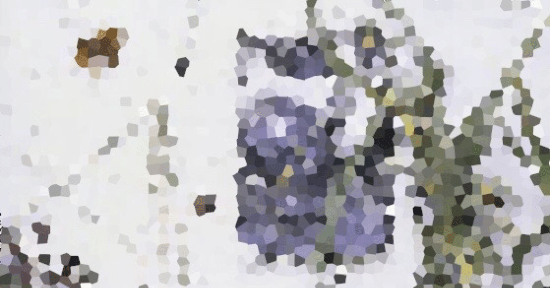 新品！「夏のぬけがら」真島昌利 Amazon.co.jp: 夏のぬけがら - 真島昌利: ミュージック