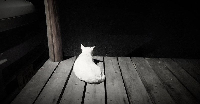 普通の人がブログを書き続けるコツみたいなもの nock3 note