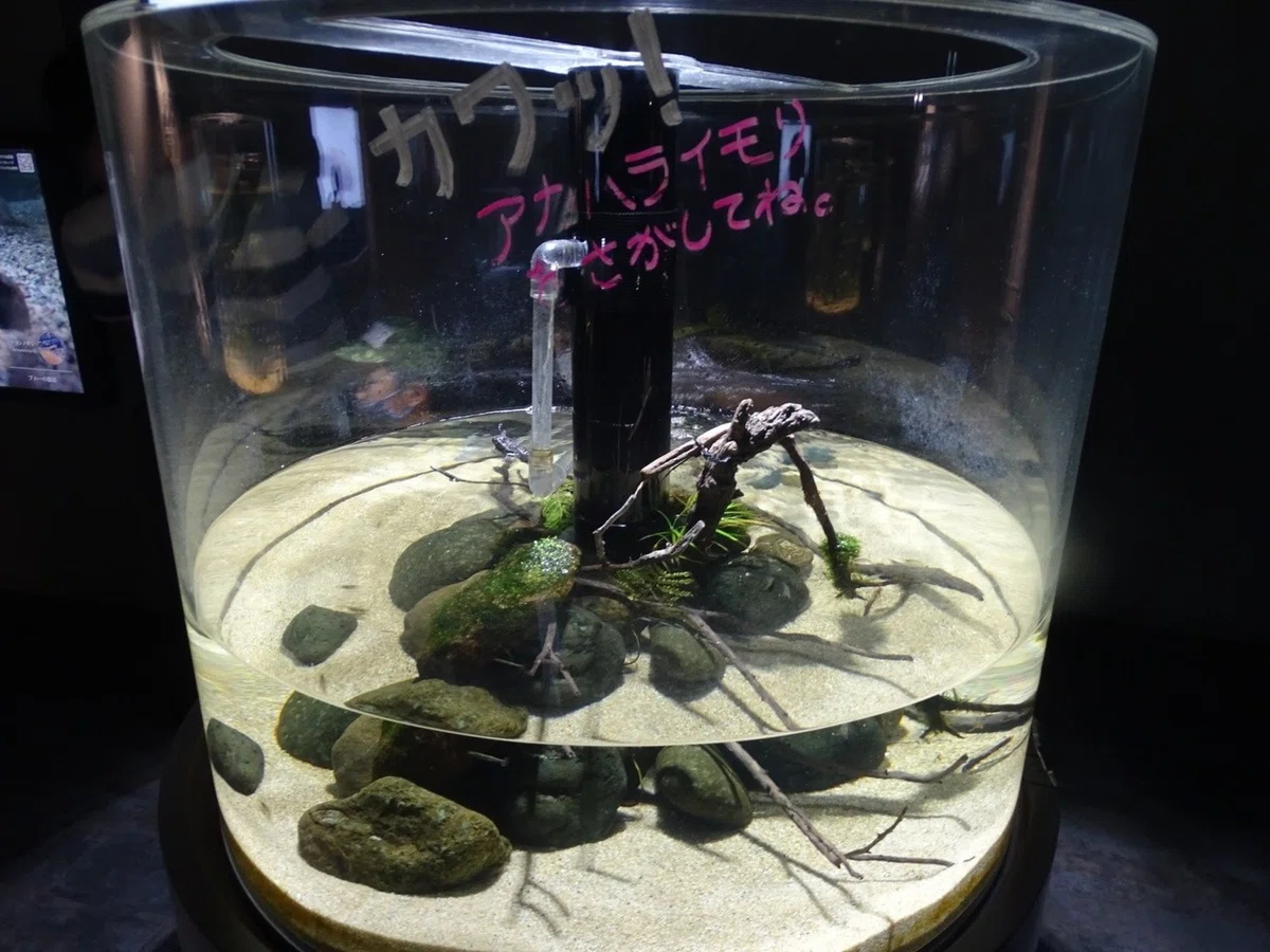 画像18