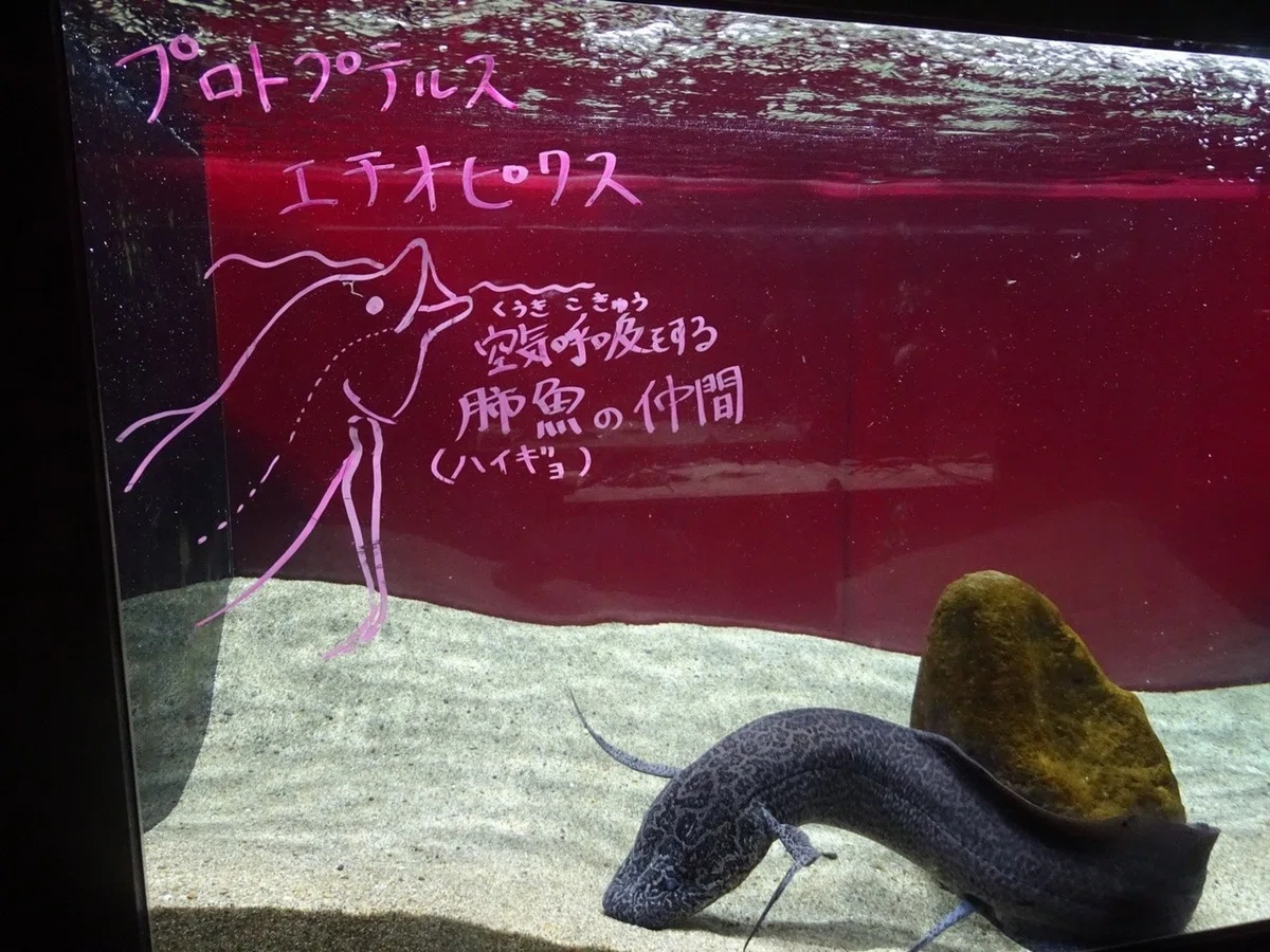 画像19