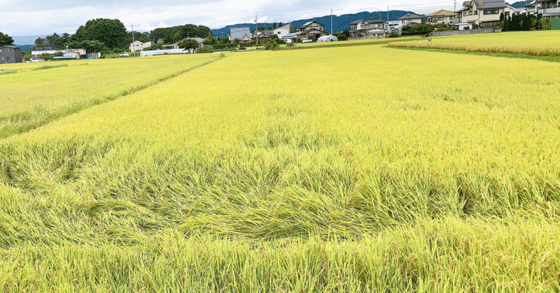 なぜ田んぼが凹んでいるか 調べてみた 田口彩人 長野県佐久移住日記 Note なぜ田んぼが凹んでいるか 調べてみた 田口彩人 長野県佐久移住日記 Note