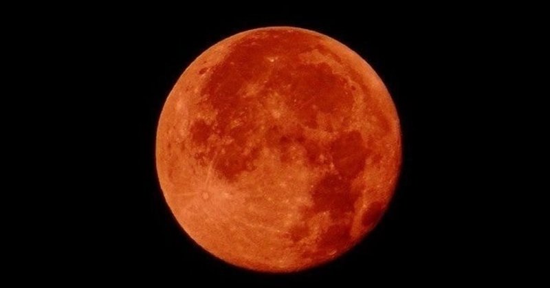 ファイナルガールズ はティーン向けb級ホラーあるあるを詰め込んだ作品 まさみ note