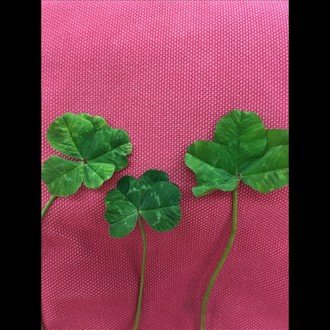 離婚 をもっと積極的に考えませんか おぐ Note 離婚 をもっと積極的に考えませんか おぐ Note