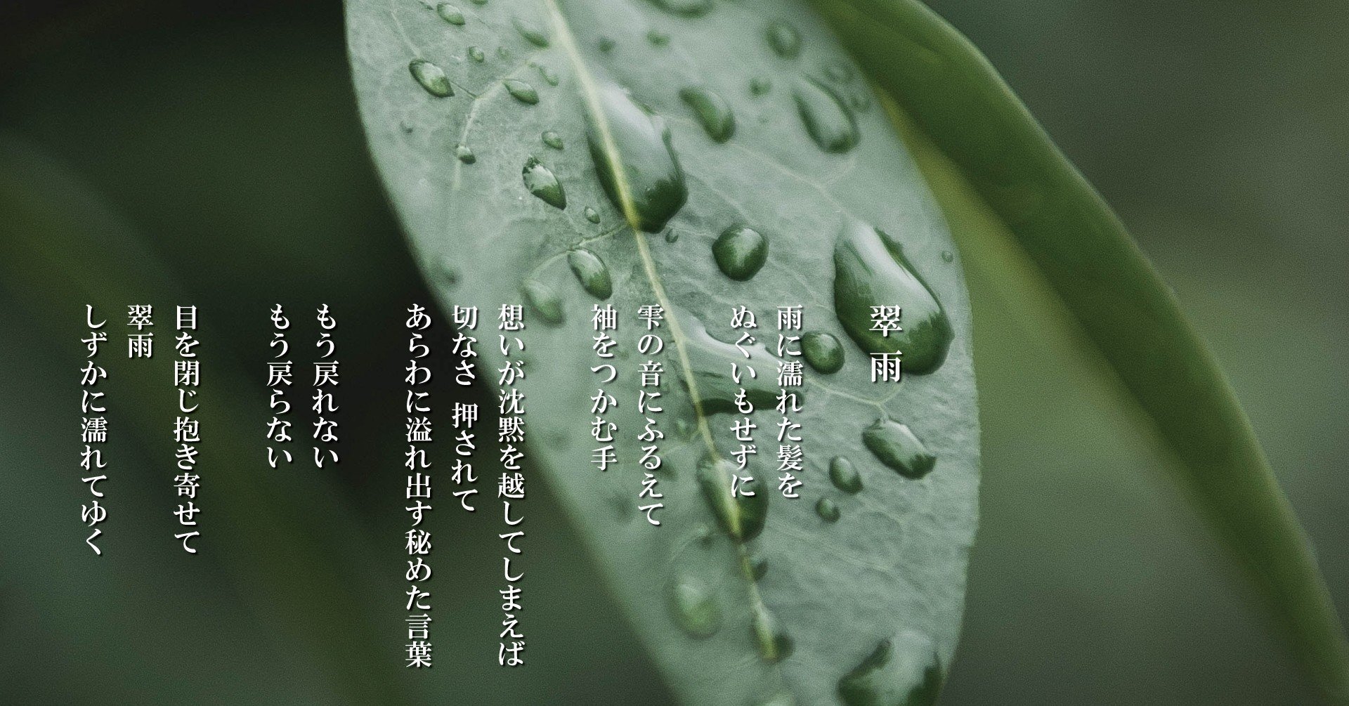 ショップレビュー ランキング 翠雨｜anji hirata 詩と言葉 | 和書