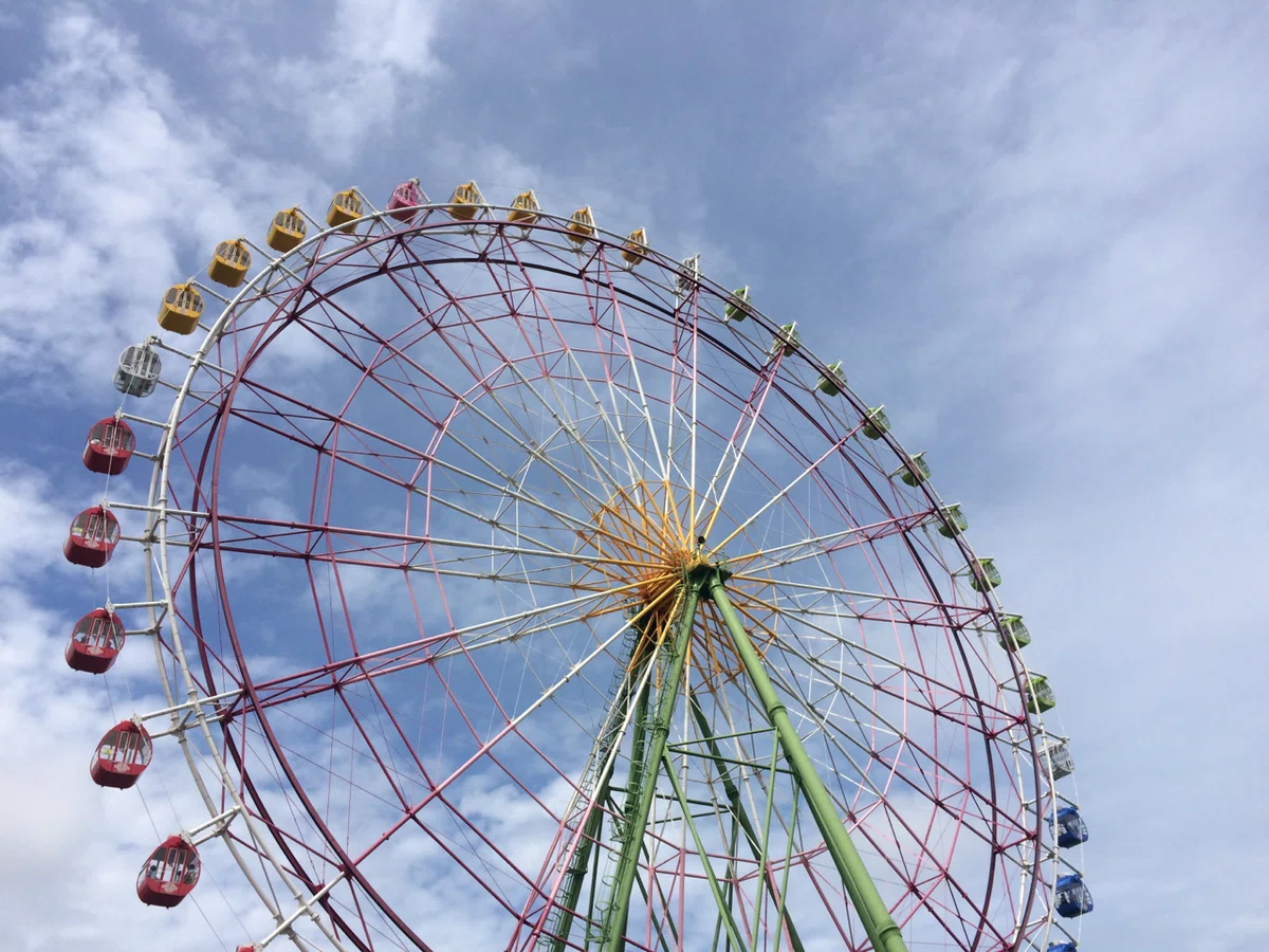 画像14