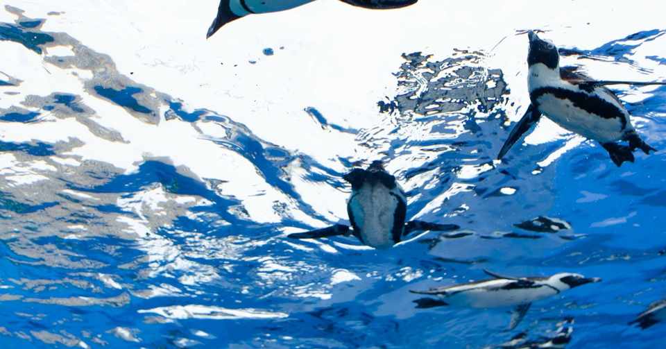 先生お願いします 9 11 放課後等デイサービス キッズダンスレッスン オリーブまちこ Note