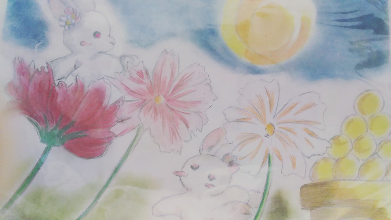 新作イメージイラスト コスモスうさぎとお月様 を描きました コスモスの花の上に 乗れちゃうくらいの 小さなうさぎちゃんと コスモスの花の下で かくれんぼしているうさぎくんを 描きました ｒ Oipa Note