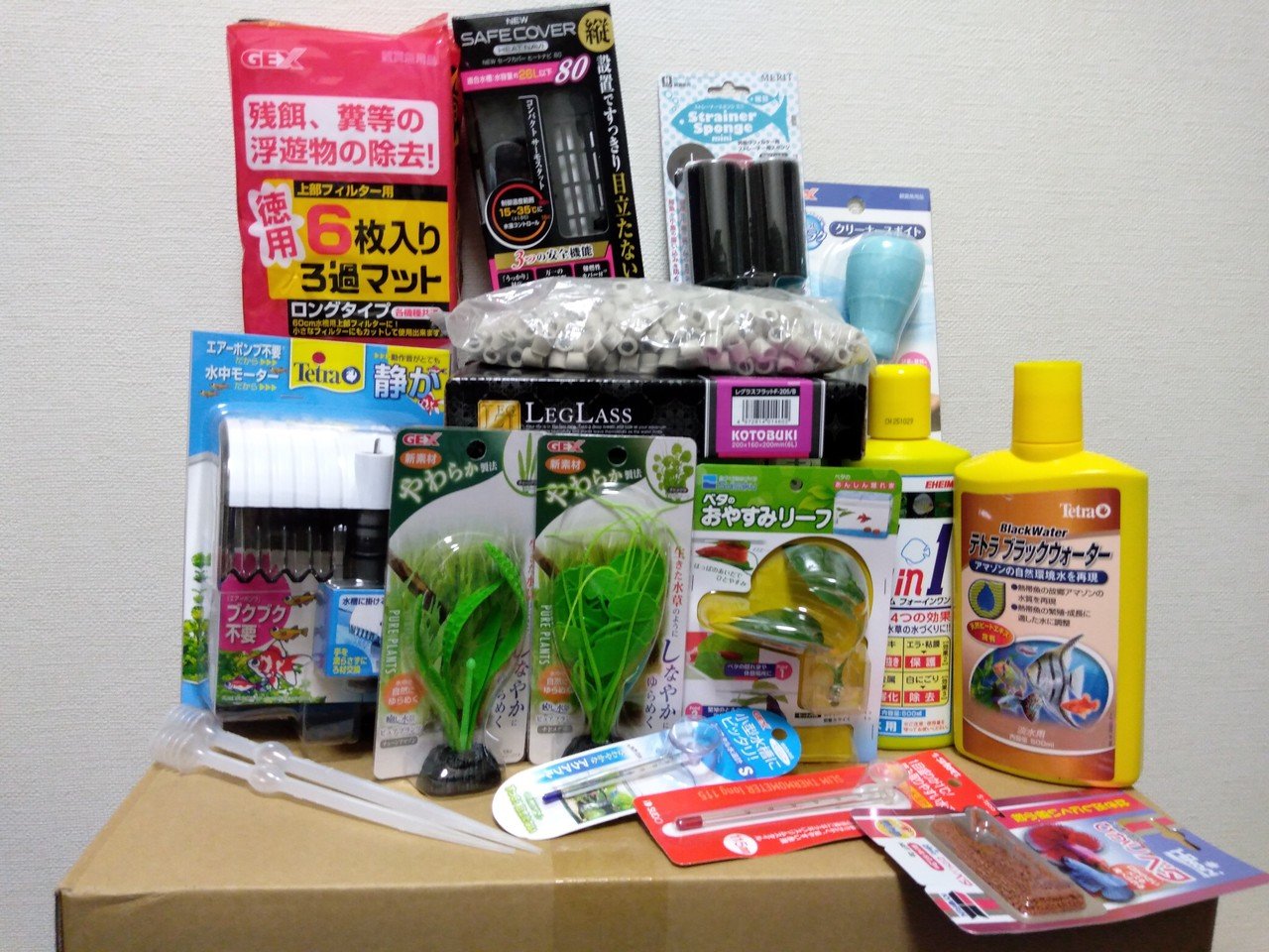 初アクアリウム 自作er魚を飼う Yaenanase Note 初アクアリウム 自作er魚を飼う Yaenanase Note
