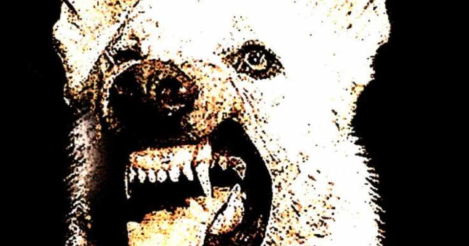 真っ白な犬の真っ黒な憎悪 ホワイト ドッグ アイアンサイド Note