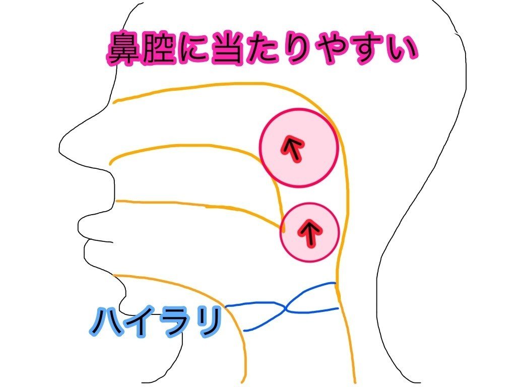 ハイラリ ローラリ どうでもいい 喉頭位置は問題解決の鍵にならない ハイラリ ローラリ どうでもいい 喉頭位置は問題解決の鍵にならない