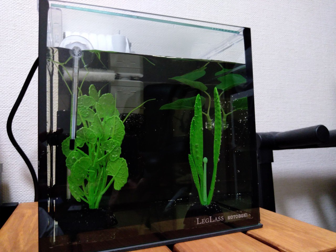 初アクアリウム 自作er魚を飼う Yaenanase Note