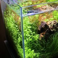 アクアリウムのレイアウト素材 石 についての一覧 ばや Note