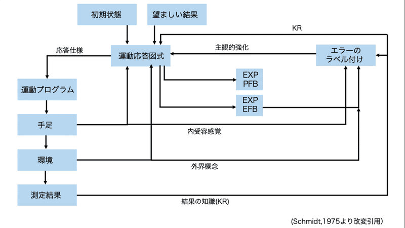 ご存知ですか 運動学習は運動を学習することではありません まじぃ マジメな理学療法士 Note