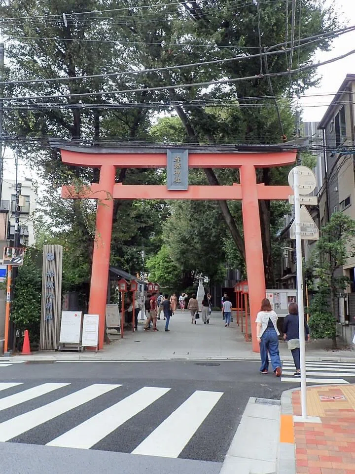 画像4