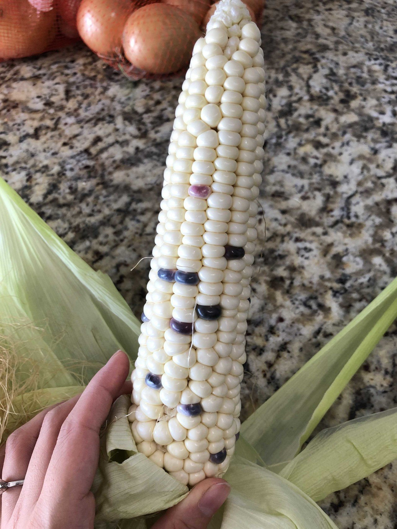 もちもちのトウモロコシ知ってますか 私は最近初めて食べました 韓国ではよく食べられてるみたい 検索してみるともちトウモロコシって名前で日本語でも沢山ヒットしました おいしくて ユニコーン柄も可愛い Kiko Note