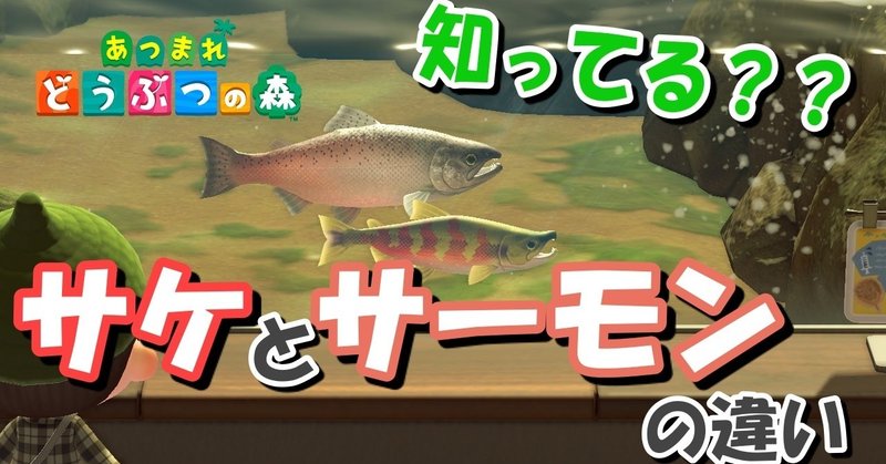 あつ森から学ぶ生物の話 秋になったら帰って来る サケとキングサーモンって何が違うの 緑木リョク Note