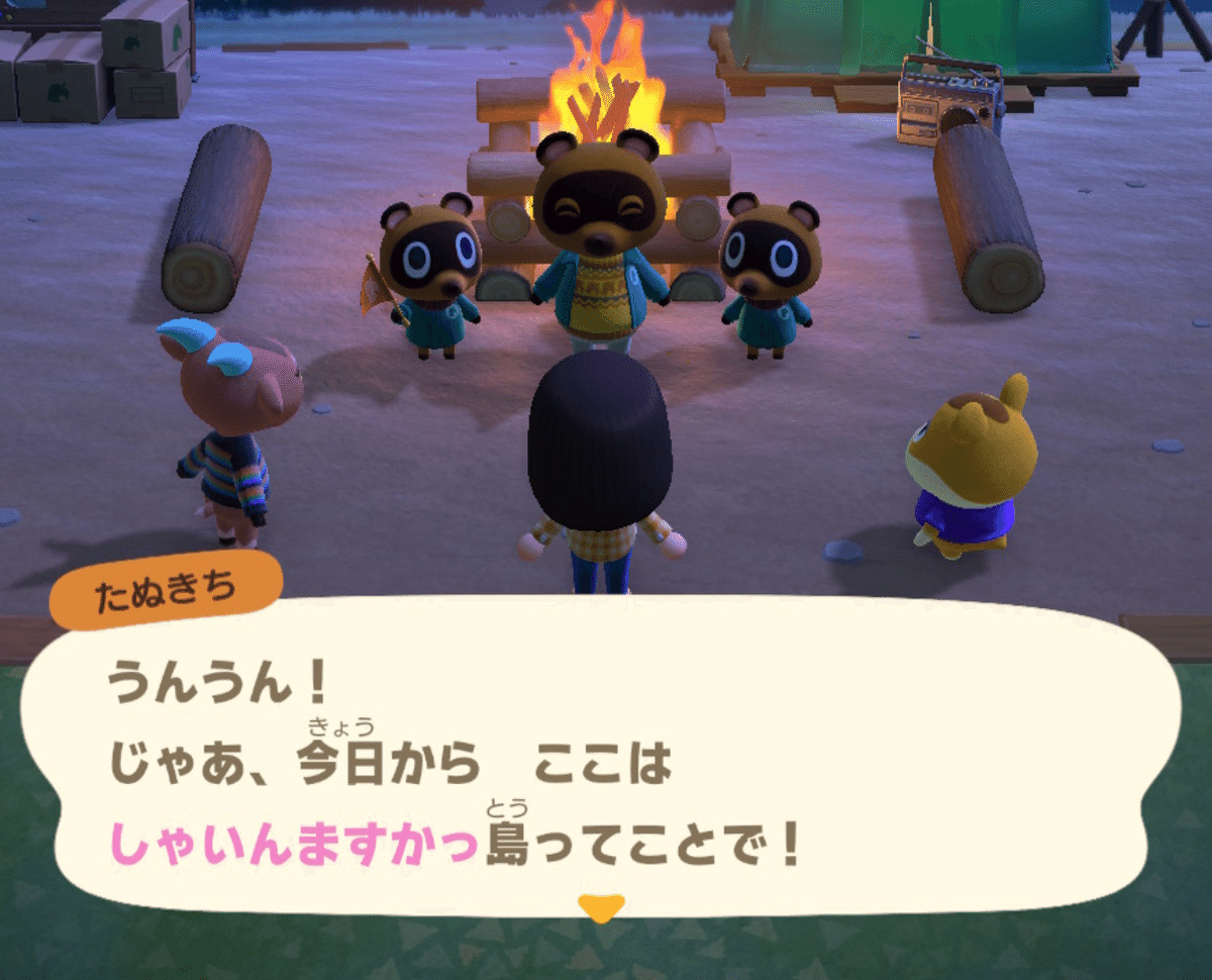 Nintendo Switch あつまれ どうぶつの森 本体セット・キャリング