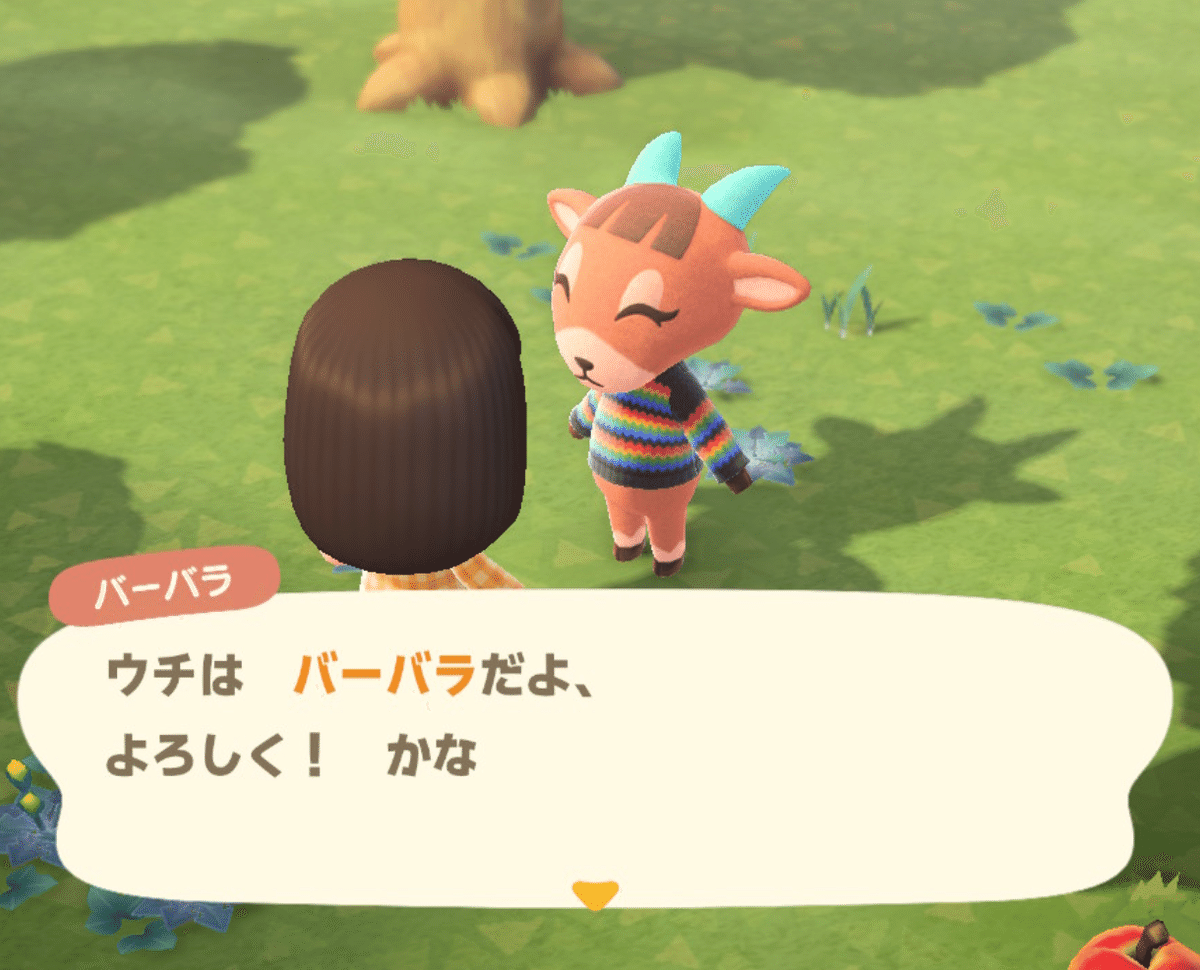 あつ森】#37 南半球のふたば島でまったりスローライフ始めました