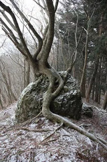 画像25