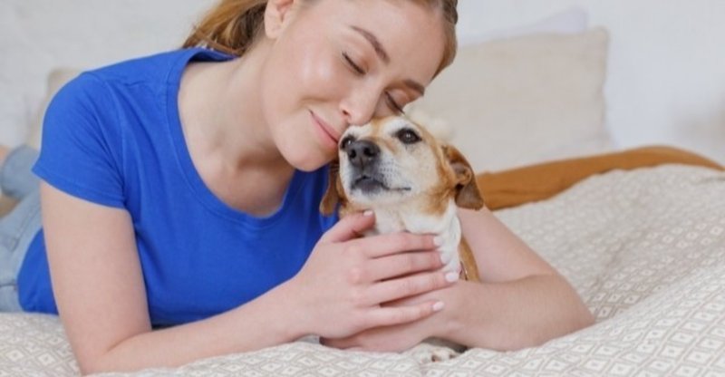 犬は褒められて伸びる 犬の飼い主サポートのplam Note