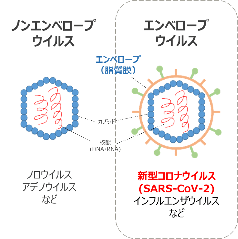 エンベロープウイルス