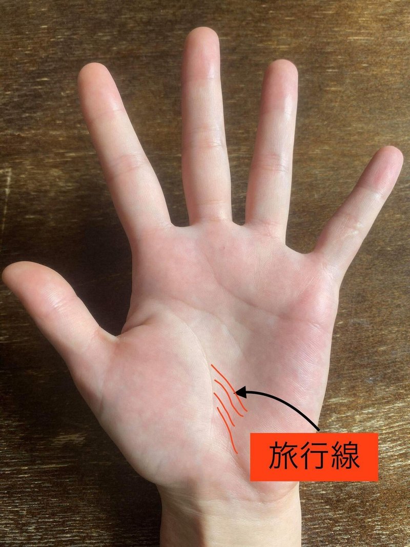 旅好き 臆病な彼女の挑戦 手相占い藍 Note 旅好き 臆病な彼女の挑戦 手相占い藍 Note
