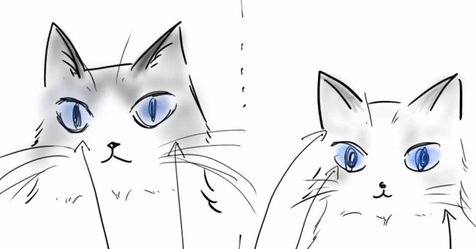 手描きイラストでみる愛猫ラックのbefore 生後2ヶ月 After 9ヶ月 Unlucky Morpheus Note