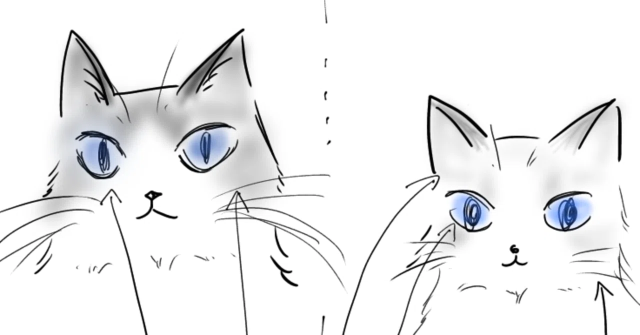 手描きイラストでみる愛猫ラックのBefore（生後2ヶ月）→After（9ヶ月