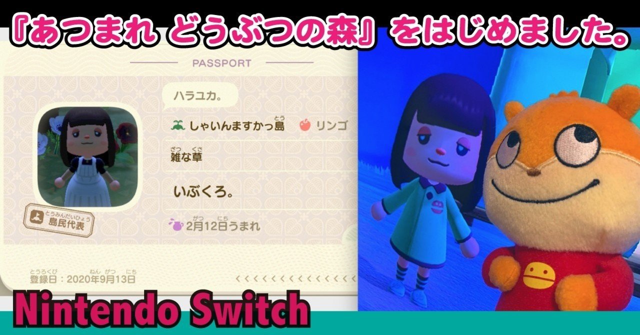 あつ森」しずえやたぬきち、ちゃちゃまる、ジュンがセット