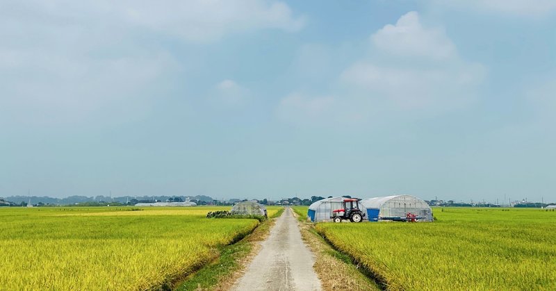 悪口を言わない人になろう 悪口を言う場合は覚悟とルールを持つ 江夏 岳 note