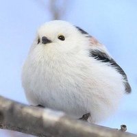 私の白の塔41 攻略 エイル Note