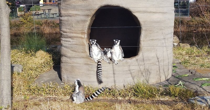 動物園行こう 上野動物園編 Kakusan Note