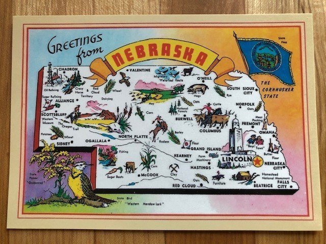 Lincolnのギフトショップ ねこやなぎ ゆき Note