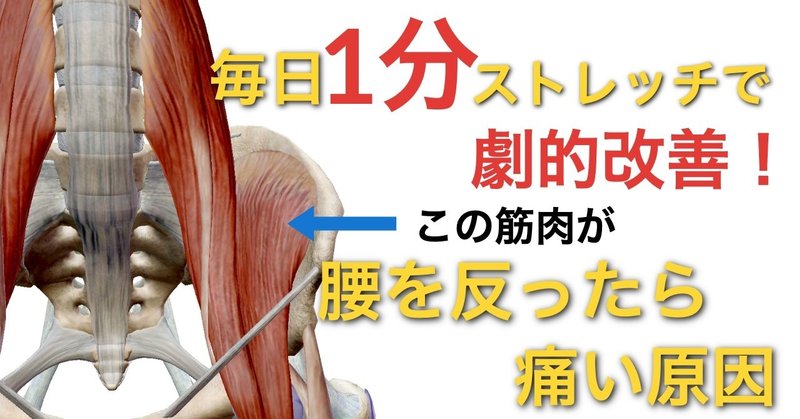 腰痛ケア 腰を反ったら痛い たった1分で反り腰も治る効果抜群の強力ストレッチ 股 膝編 Vol 8 長崎の 腰痛専門 施術院 リセット 公式ブログ Note