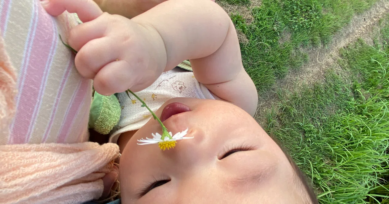 田舎暮らしでの赤ちゃんのお散歩 ご近所編 こぐま日和 伊那谷 田舎で子育て Note